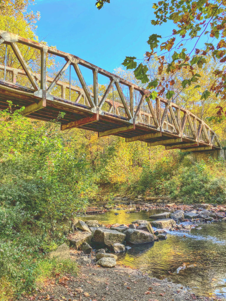 bridge crossing over the creek with trees