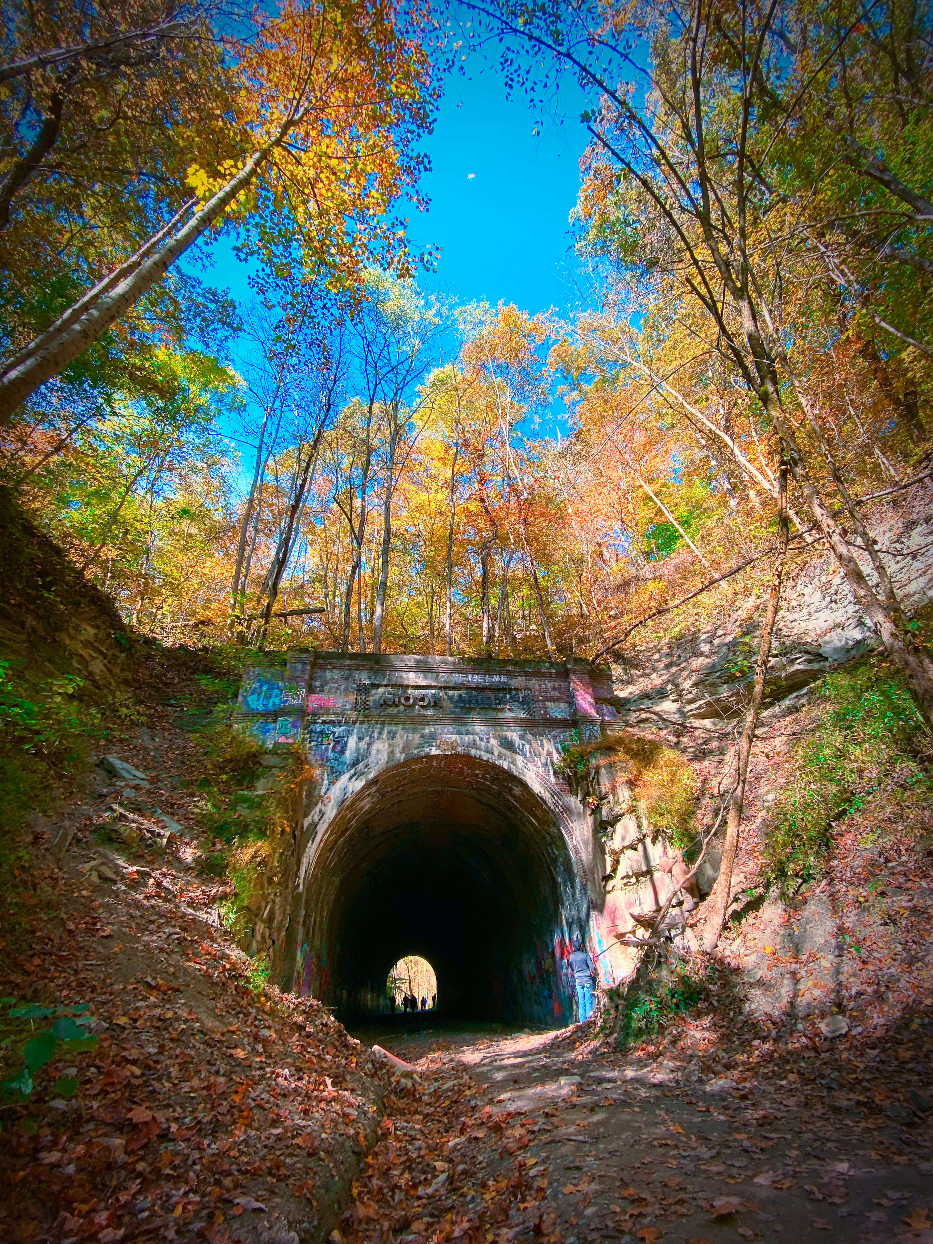 Moonville tunnel opening with brightly colored trees and leaves on the ground.