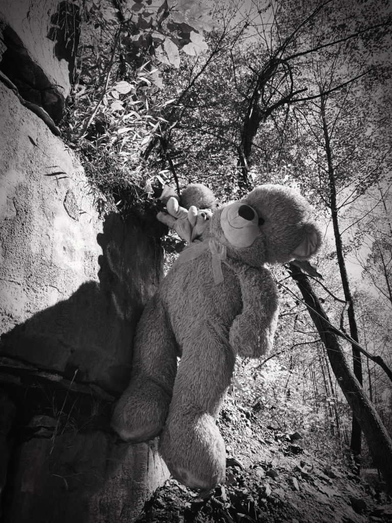 Black and white teddy bear hanging from wall of Moonville Tunnel